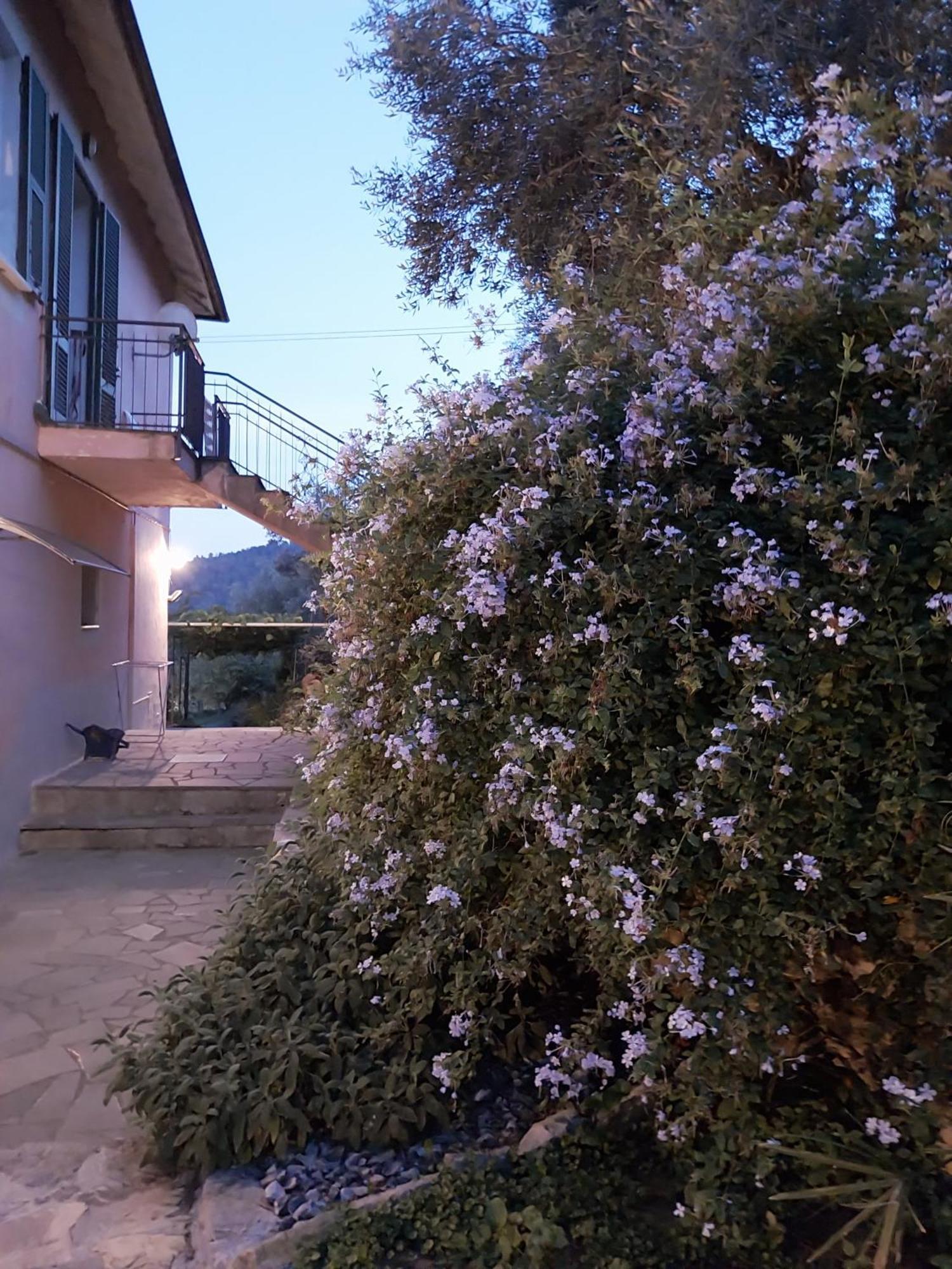 Tenuta Di Venere Porto Venere Extérieur photo