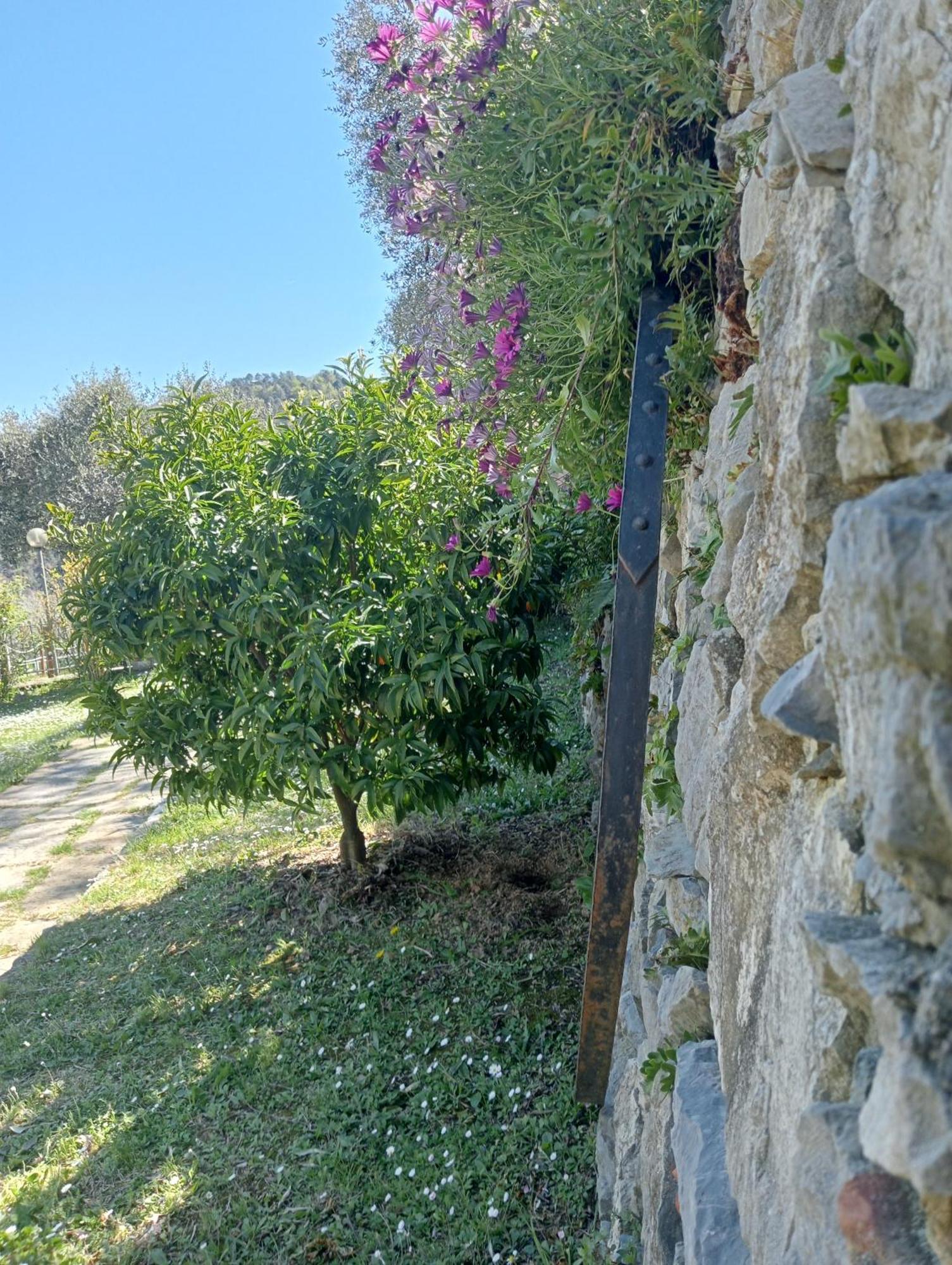 Tenuta Di Venere Porto Venere Extérieur photo